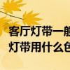 客厅灯带一般选用什么颜色（大家说一下客厅灯带用什么色）