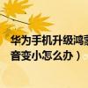 华为手机升级鸿蒙后声音音质变了（华为手机升级鸿蒙后声音变小怎么办）