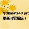 华为mate40 pro如何更新鸿蒙系统(华为mate40pro怎么更新鸿蒙系统) 华为mate40 pro如何更新鸿蒙系统(华为mate40pro怎么更新鸿蒙系统)