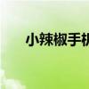 小辣椒手机5G（小辣椒40支持5G么）