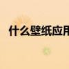 什么壁纸应用最好（哪位说说壁纸怎样用）