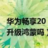 华为畅享20 se升级鸿蒙（华为畅享20se可以升级鸿蒙吗）