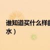 谁知道买什么样的房子风水好（哪位说说什么样的房子有风水）