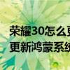荣耀30怎么更新鸿蒙系统到3.0（荣耀30怎么更新鸿蒙系统）