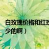 白玫瑰价格和红玫瑰一样吗（白玫瑰代表什么 一般价钱是多少的啊）