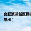 合肥滨湖新区振徽苑的房价（求大神解答合肥滨湖新区房价暴涨）