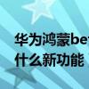 华为鸿蒙beta3.0（华为鸿蒙OS2.0Beta3有什么新功能）