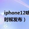 iphone12啥时候发布（iPhone12SPro什么时候发布）