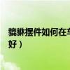 貔貅摆件如何在车里正确摆放（哪位知道什么样的貔貅摆件好）