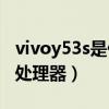 vivoy53s是什么处理器（vivoY53s搭载什么处理器）