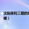 沈阳保利三期的房子怎么样（哪位说说沈阳保利花园三期在哪）