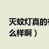 灭蚊灯真的有效果吗（灭蚊灯有用吗 效果怎么样啊）