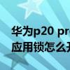 华为p20 pro解锁激活锁软件（华为p50pro应用锁怎么开启）