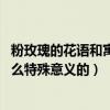粉玫瑰的花语和寓意代表什么意思（粉玫瑰花语是什么 有什么特殊意义的）
