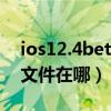 ios12.4beta6描述文件（iOS15Beta6描述文件在哪）