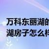 万科东丽湖的房子怎么样（哪位说说万科东丽湖房子怎么样）