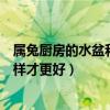 属兔厨房的水盆和灶台摆放位置（肖兔人厨房灶台的方向怎样才更好）