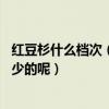 红豆杉什么档次（南方红豆杉价格是怎么样的 原木价格是多少的呢）