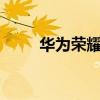 华为荣耀50se（荣耀50se怎么样）