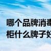 哪个品牌消毒碗柜好一点（我想知道消毒柜碗柜什么牌子好）
