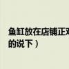 鱼缸放在店铺正对门处可以吗（鱼缸可以正对门吗哪位知道的说下）