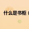 什么是书柜（哪位能说说书柜是什么意思）