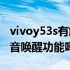 vivoy53s有触屏唤醒功能吗（vivoY53s有语音唤醒功能吗）