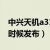 中兴天机a31pro5g（中兴天机A31Pro什么时候发布）
