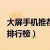 大屏手机推荐2021荣耀（2021最佳大屏手机排行榜）