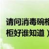 请问消毒碗柜是哪个牌子好（什么品牌消毒碗柜好谁知道）