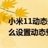 小米11动态壁纸过几天就不动了（小米11怎么设置动态壁纸）