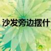沙发旁边摆什么好看（请问沙发怎样摆好看）
