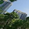 买房看房的时候可以了解到小区绿化率
