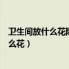 卫生间放什么花除臭效果最好（卫生间装修完成后适合放什么花）