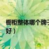 橱柜整体哪个牌子性价比高（有哪位晓得什么品牌整体厨柜好）