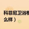 科菲尼卫浴柜（能不能说说看科菲尼浴室柜怎么样）