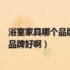 浴室家具哪个品牌好（了解过的朋友说说家庭整体浴室什么品牌好啊）