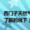 西门子天然气灶需要电池吗（西门子灶怎么样了解的说下）