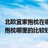 北欧宜家抱枕在哪里买（宜家风格抱枕哪里有得卖 宜家风格抱枕哪里的比较好）
