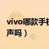 vivo哪款手机是双扬声器（vivos10支持双扬声吗）