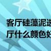 客厅硅藻泥选什么颜色好呢（我想问硅藻泥客厅什么颜色好）