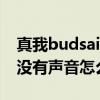真我budsairpro右耳连不上（真我BudsAir没有声音怎么办）
