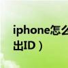 iphone怎么彻底退出id（iPhone13怎么退出ID）