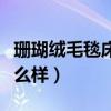 珊瑚绒毛毯床单怎么样（毛毯床单珊瑚绒毯怎么样）