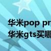 华米pop pro和gts 2mini选择（华米pop和华米gts买哪个）