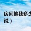 房间地毯多少钱（房间地毯什么价格谁可以说说）