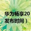 华为畅享20 pro 5g跑分（荣耀畅玩20 5G版发布时间）