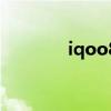 iqoo8Pro支持两指认证吗？