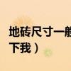 地砖尺寸一般多大（地砖一般是多大谁能告诉下我）