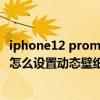 iphone12 promax动态壁纸有免费没（iPhone13promax怎么设置动态壁纸）